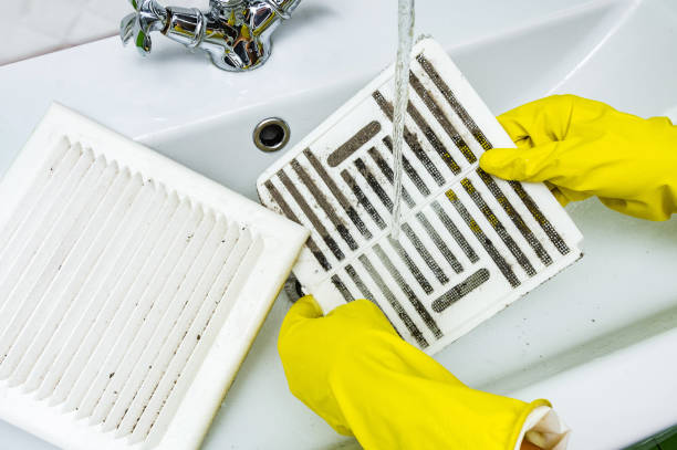 Air Duct Mold Removal in Rayne, LA